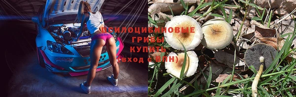 соль курить ск Аркадак